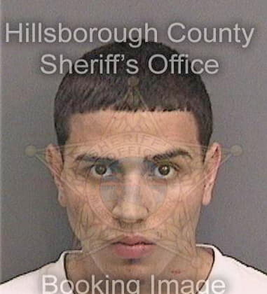 Diego Camargo, - Hillsborough County, FL 