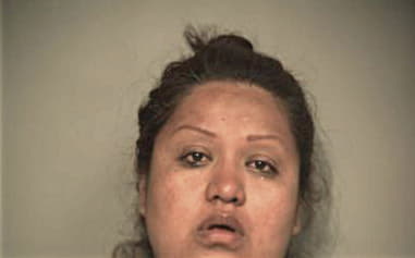 Sandra Ferrer, - Hidalgo County, TX 