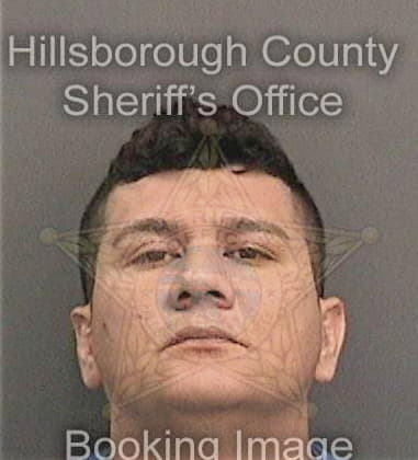 Ruben Gomezgusman, - Hillsborough County, FL 