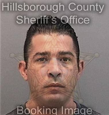 Peter Maze - Hillsborough County, FL 