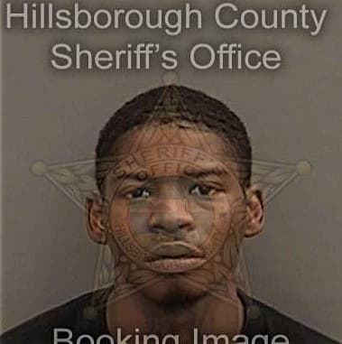 David Meadows - Hillsborough County, FL 
