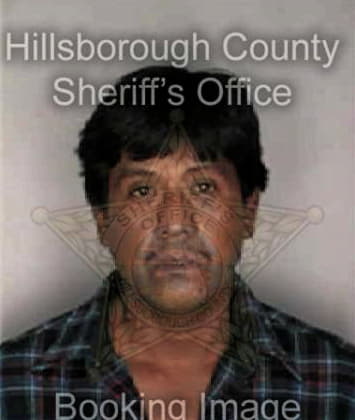 Gary Polistena - Hillsborough County, FL 