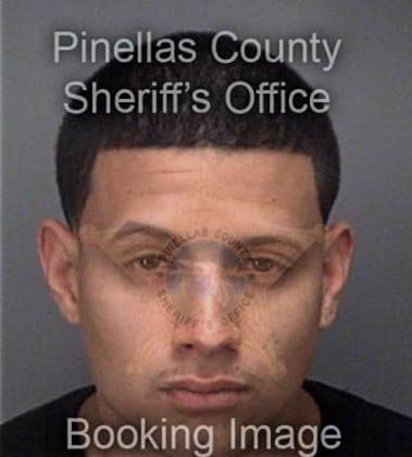 Armando Riverarodriguez, - Pinellas County, FL 