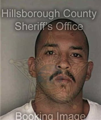 Steven Roberts - Hillsborough County, FL 
