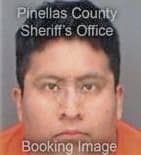 Miguel Garcia-Flores, - Pinellas County, FL 