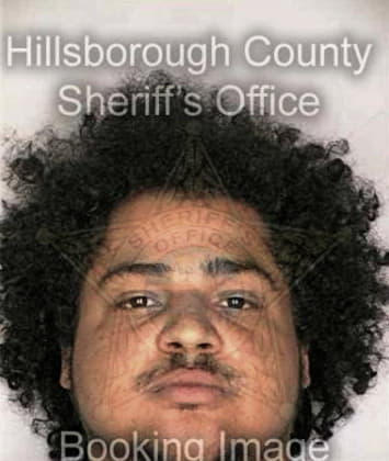 Tyrone Girvin, - Hillsborough County, FL 