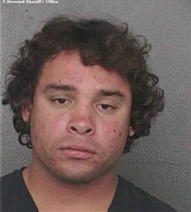 Paul Hallman, - Broward County, FL 