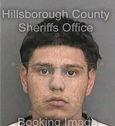 Charles Julks, - Hillsborough County, FL 