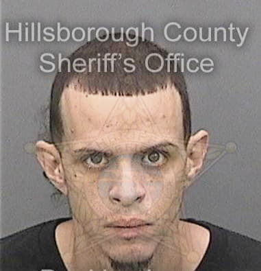 Ian Stevens, - Hillsborough County, FL 