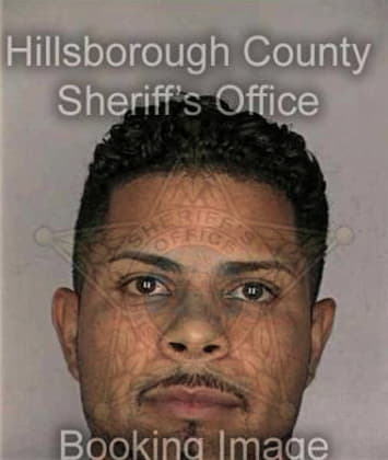 Michael Colon, - Hillsborough County, FL 