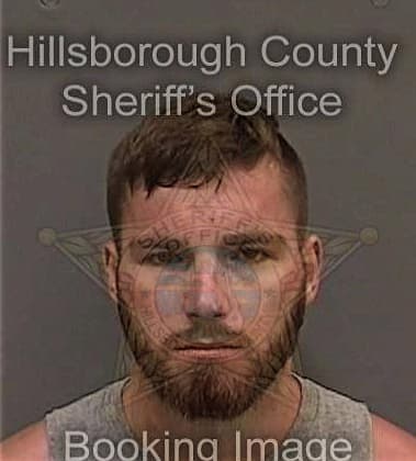 Carlos Evaristopahuarocha, - Hillsborough County, FL 