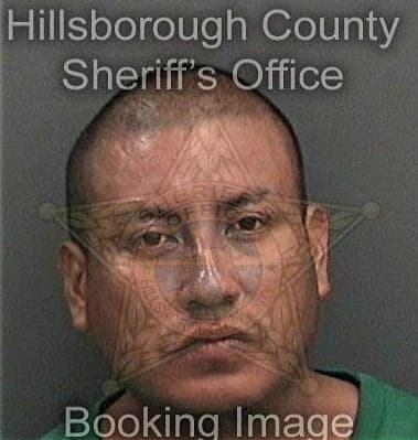 Michael Lee, - Hillsborough County, FL 