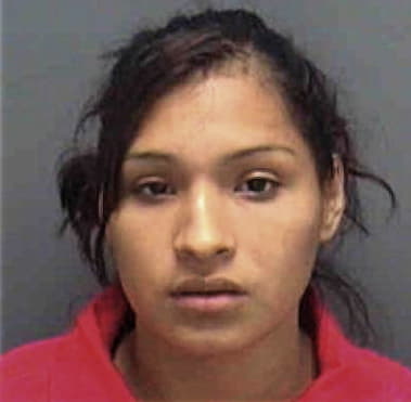 Yenices Mendoza, - Lee County, FL 