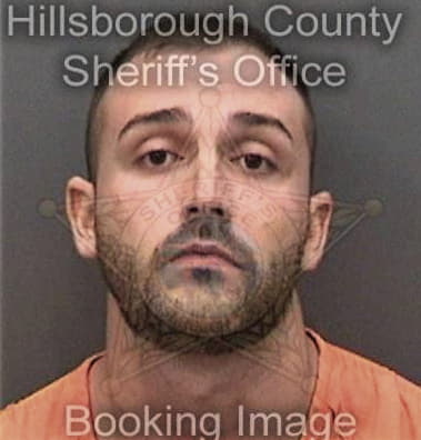 Maikel Ramirezdelgado, - Hillsborough County, FL 