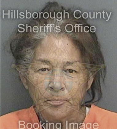 Divian Rodriguez, - Hillsborough County, FL 