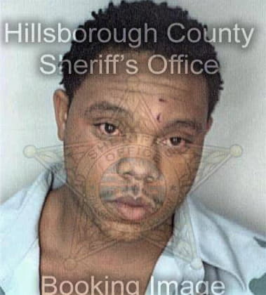 Michael Wilson, - Hillsborough County, FL 