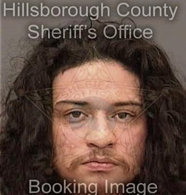 Dylan Herren - Hillsborough County, FL 