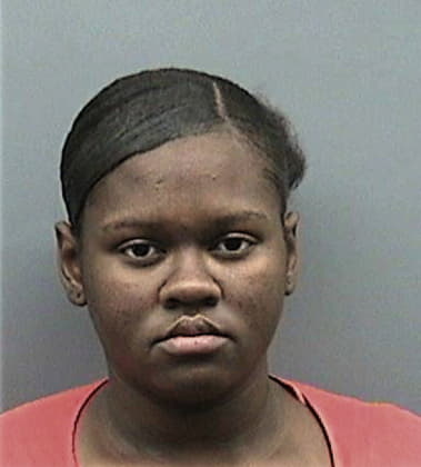 Patricia Louisy, - Hillsborough County, FL 