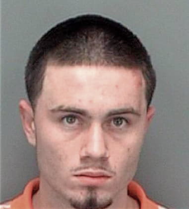 Robert Mayes - Pinellas County, FL 