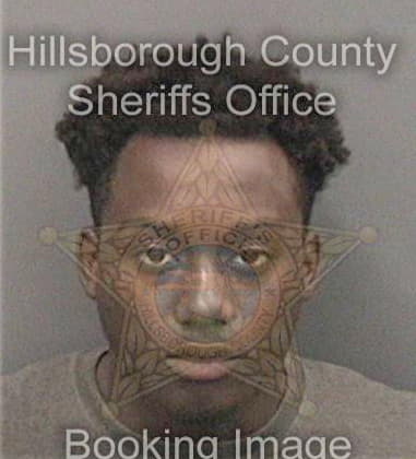 Thomas McNeil-Jr - Hillsborough County, FL 