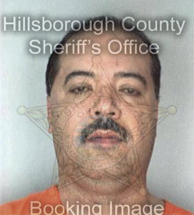 Augustin Mejia - Hillsborough County, FL 