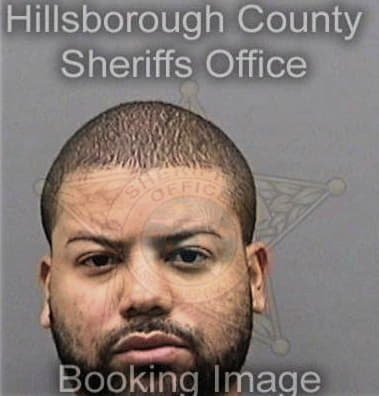 Vincent Prudente, - Hillsborough County, FL 