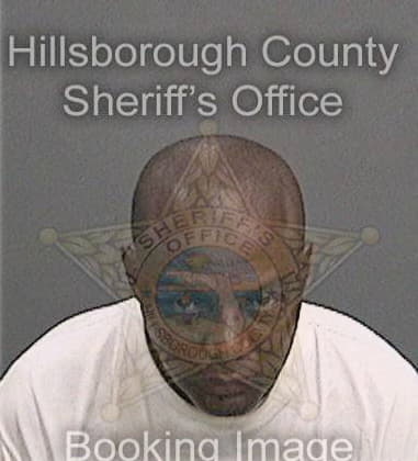 Seyed Tabibzadehdezfuli, - Hillsborough County, FL 