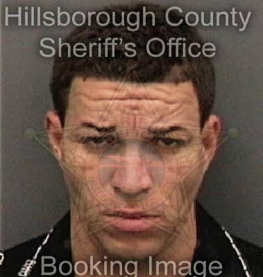 Gavin Bourgeois - Hillsborough County, FL 