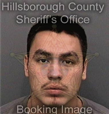 Joshua Davis, - Hillsborough County, FL 