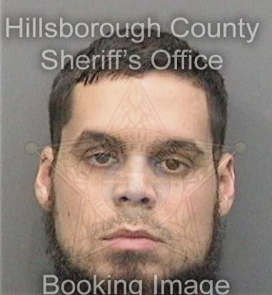 Michael Garrison, - Hillsborough County, FL 