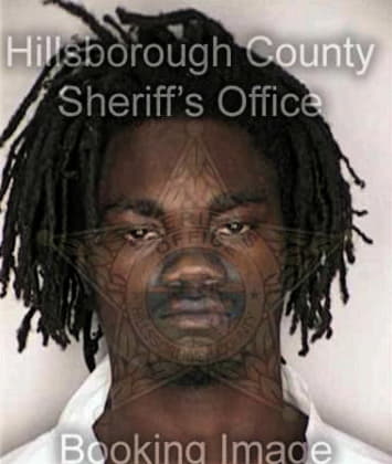 Thaddeus McKenzie - Hillsborough County, FL 