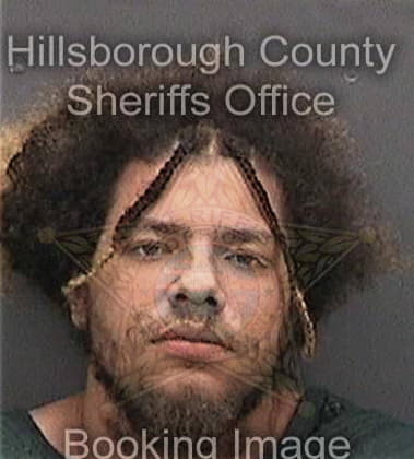 Nelson Mendozarodriguez - Hillsborough County, FL 