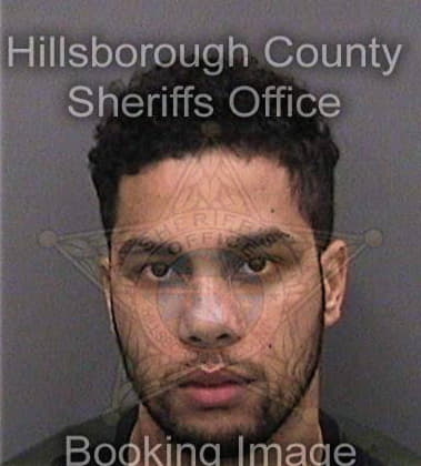 Rashone Mills - Hillsborough County, FL 