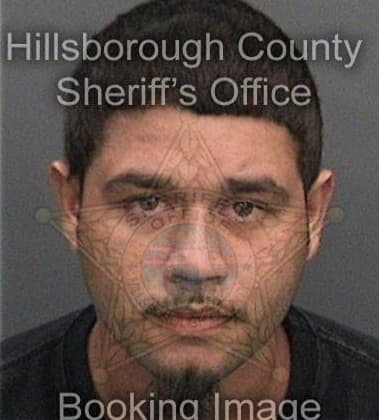 David Primeaux, - Hillsborough County, FL 