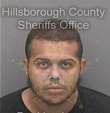 Gregorio Ramosrodriguez, - Hillsborough County, FL 