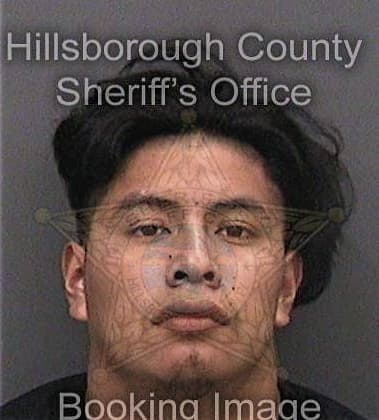 Fabian Reyes-Cornejo, - Hillsborough County, FL 