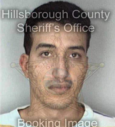 Reynaldo Sanchez, - Hillsborough County, FL 