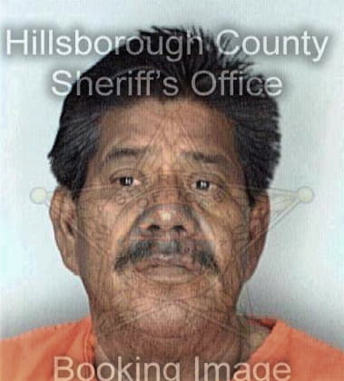 Edward Silva, - Hillsborough County, FL 