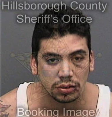 Gilbert Cuevas, - Hillsborough County, FL 