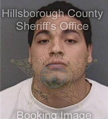 Miguel Hernandez - Hillsborough County, FL 
