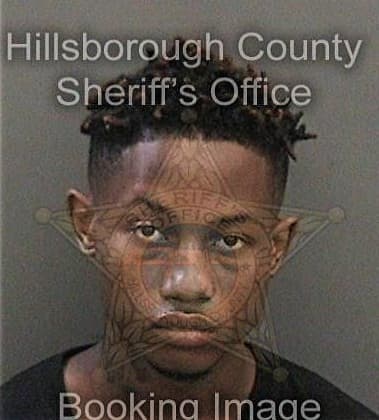 Ellis Houston, - Hillsborough County, FL 