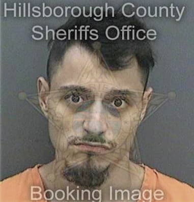 Nicholas Johnson, - Hillsborough County, FL 