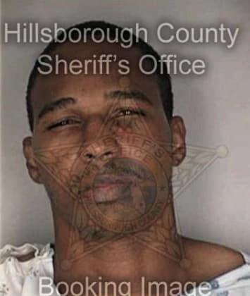 Ian McLean - Hillsborough County, FL 