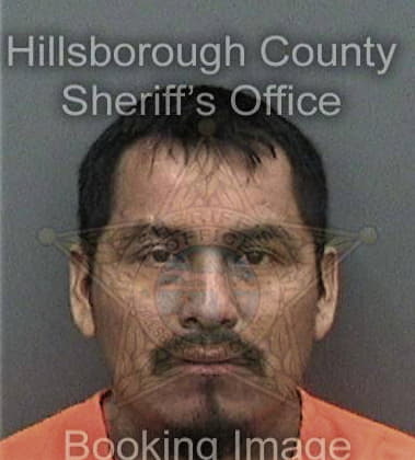 Stephen Peterson, - Hillsborough County, FL 