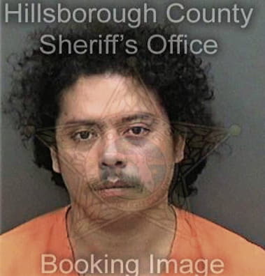 Alexander Tolon, - Hillsborough County, FL 