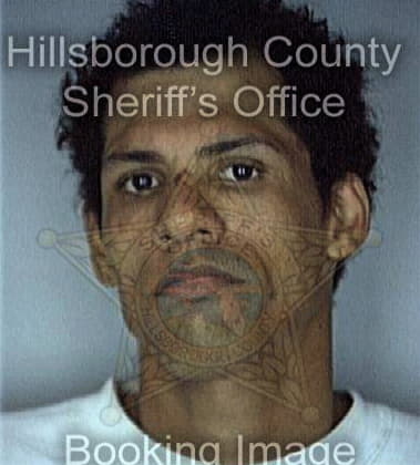 Javier Bermudez - Hillsborough County, FL 
