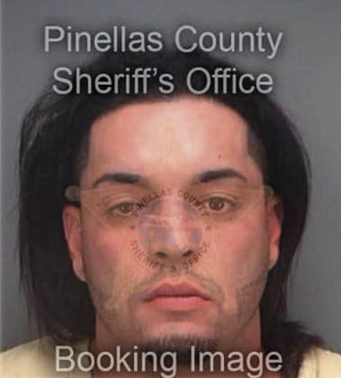 Ramon Obregon, - Pinellas County, FL 