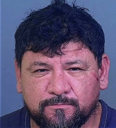 Luis Ramos-Echeverria, - Manatee County, FL 