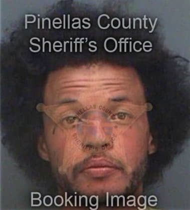 Patrick Adams, - Pinellas County, FL 