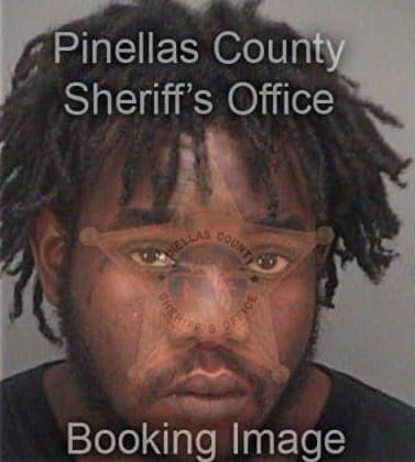 William McIntyre - Pinellas County, FL 